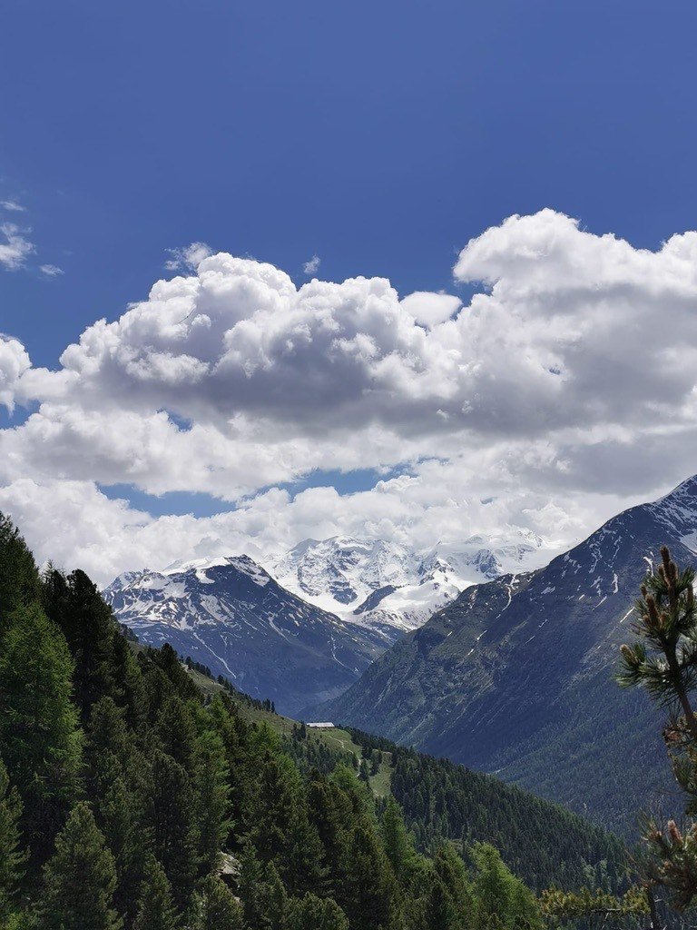 Blick über bewaldete Hänge auf verschneite Berggipfel und einen Gletscher, darüber Quellwolken vor blauem Himmel